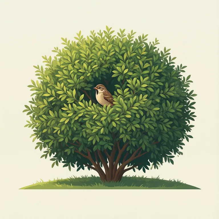 Picture: bush