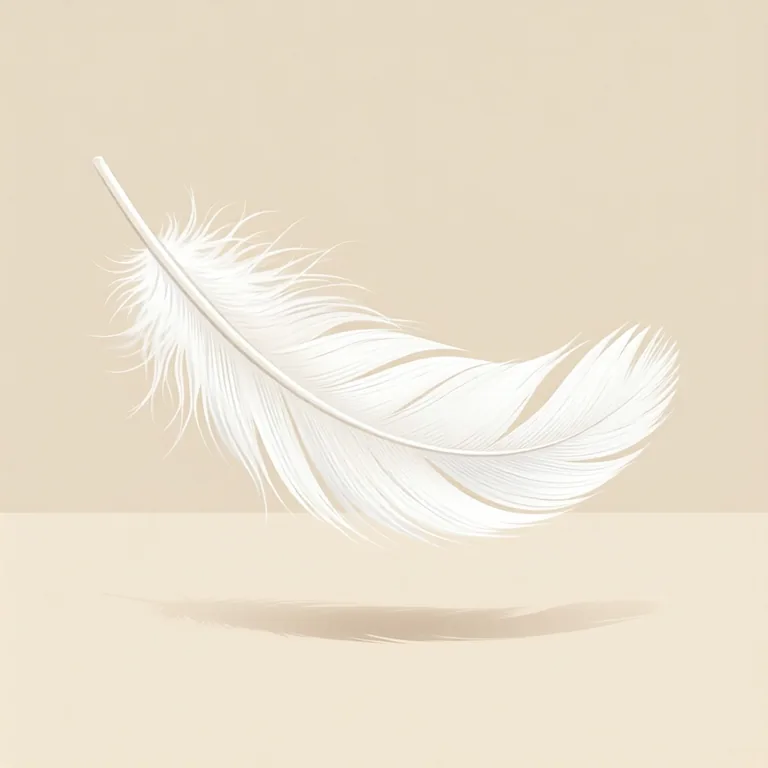 Picture: feather