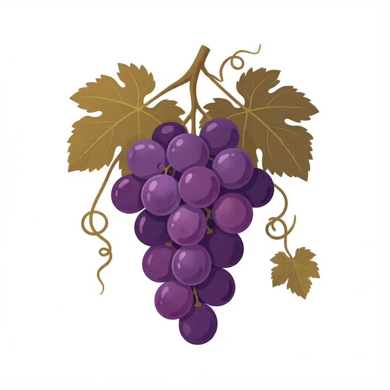 Picture: grape