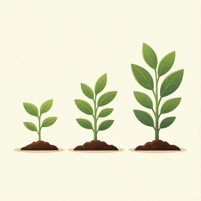 Picture: growth