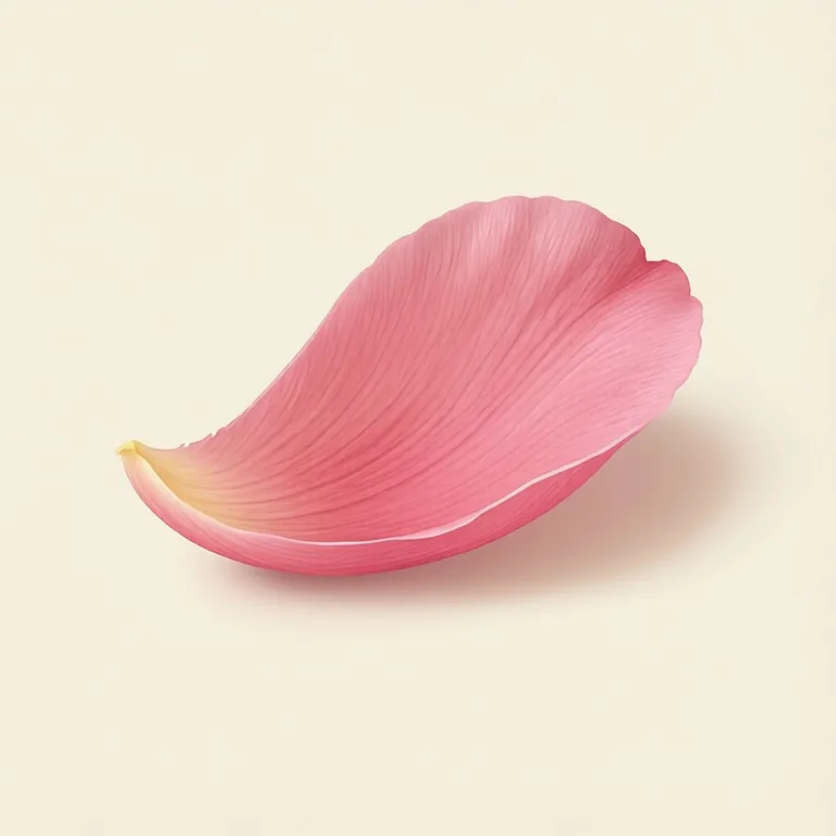 Picture: petal