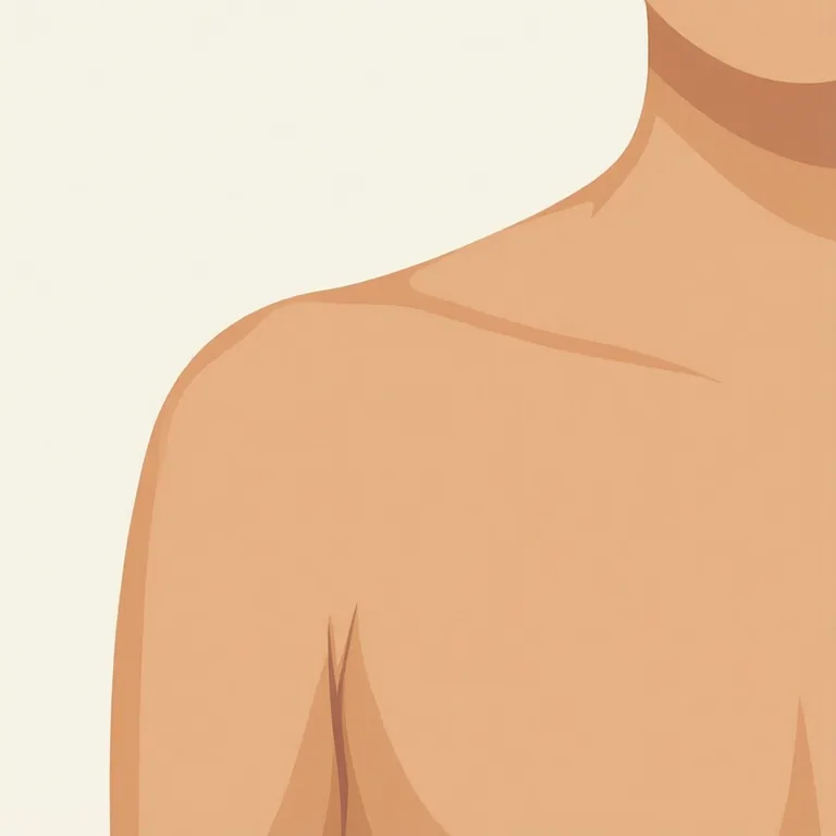 Picture: shoulder