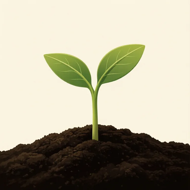 Picture: sprout