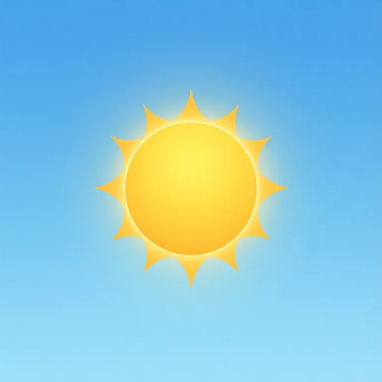 Picture: sun