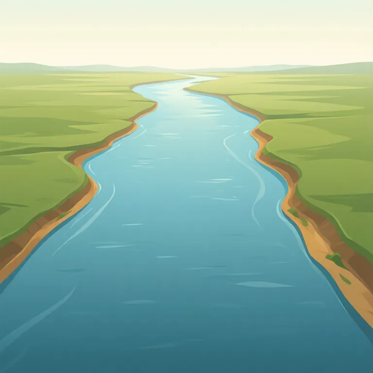 Picture: wide